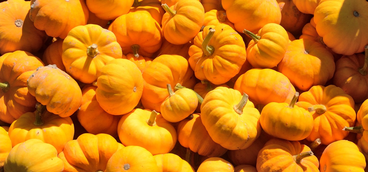 How to Reduce Your Food Waste?